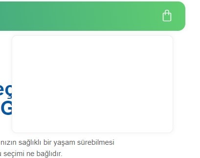 Ekran görüntüsü 2022-11-07 142647