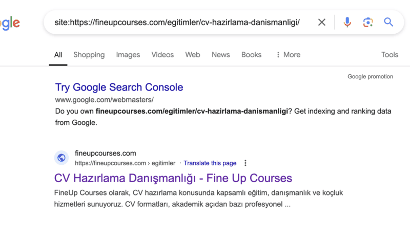 Ekran Resmi 2024-10-25 12.05.58