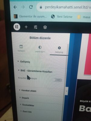 BAE görüntüleme koşulları l 2023-08-20 saat 11.56.43