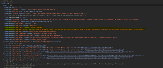 Ekran görüntüsü 2024-02-19 021517