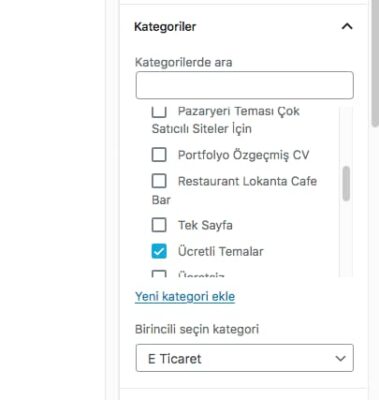 wordpress-birincil-kategori-secimi