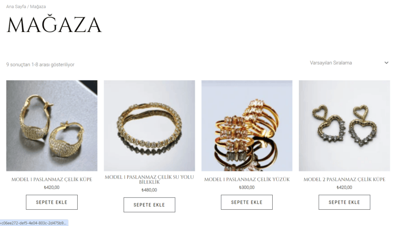 Ekran görüntüsü 2024-03-26 205910