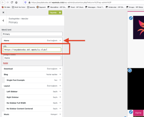 wordpress-menu-ozel-baglanti