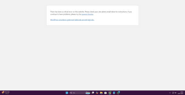 Ekran görüntüsü 2025-07-10 200419