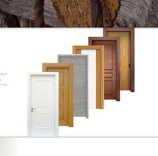 Ekran görüntüsü 2022-05-26 142420