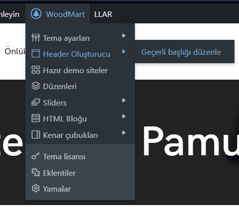 resim_2024-02-09_165018267