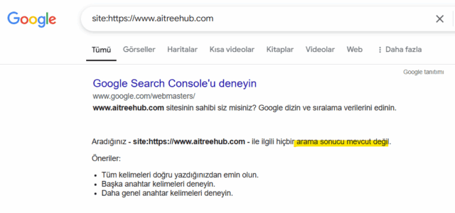 google indeks
