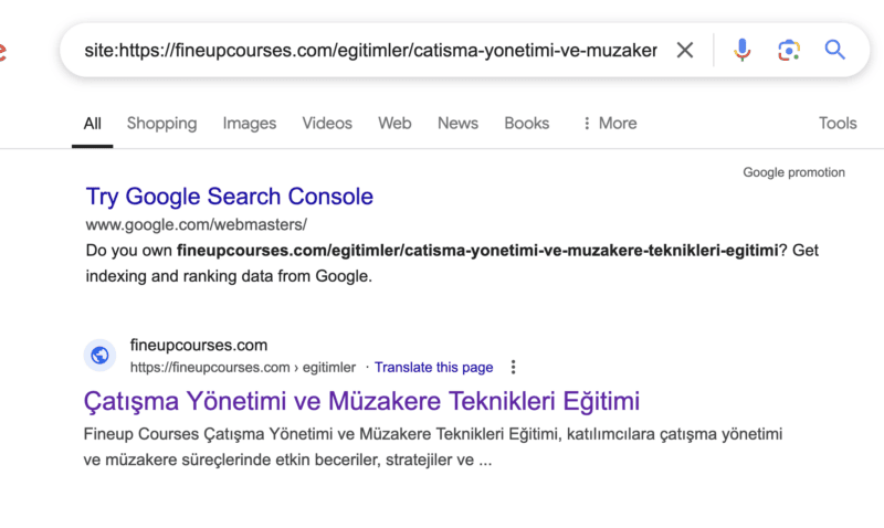 Ekran Resmi 2024-10-25 12.06.13