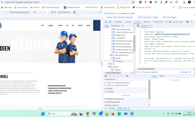 Ekran görüntüsü 2024-10-10 103733