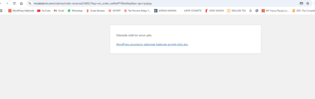 Ekran görüntüsü 2025-01-03 165459