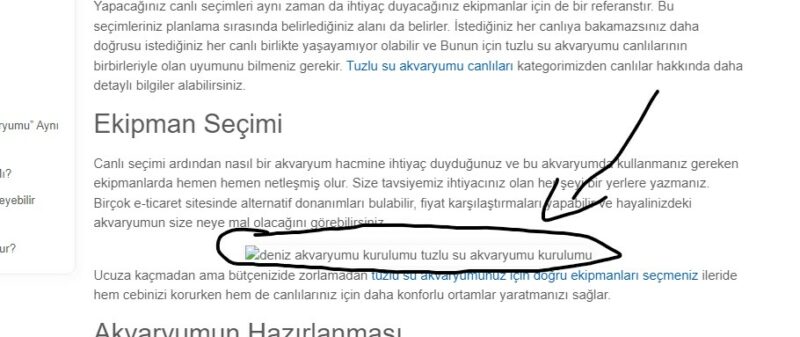 Ekran görüntüsü 2022-11-07 141837