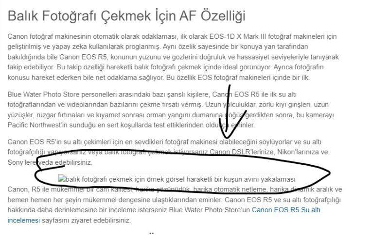 Ekran görüntüsü 2022-11-07 142033