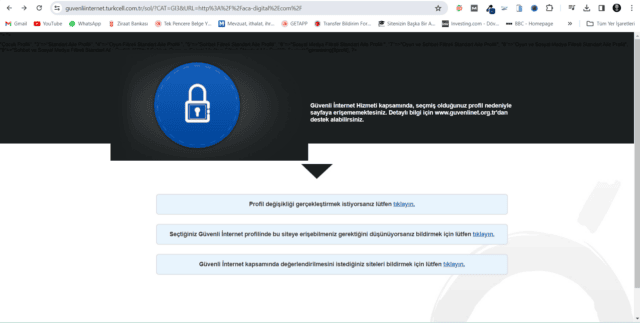 Ekran görüntüsü 2024-03-30 032221