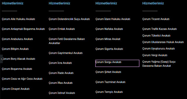 Ekran görüntüsü 2025-06-30 074430