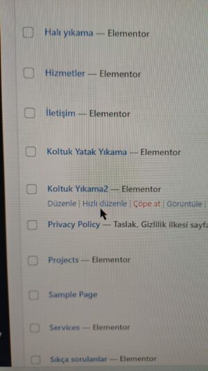 mevcut ilgili 2 sayfa