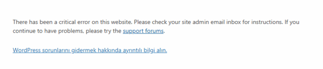 Ekran görüntüsü 2024-11-26 195957