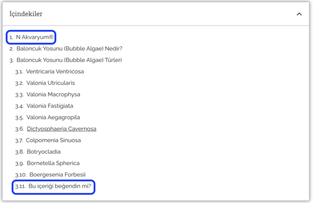 Ekran Resmi 2020-10-12 20.35.39