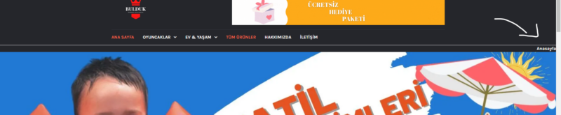 Ekran görüntüsü 2022-08-01 112923