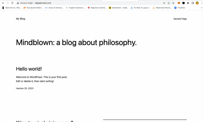 Ekran Resmi 2023-06-30 09.03.16