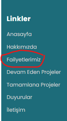 Ekran görüntüsü 2025-05-25 145956