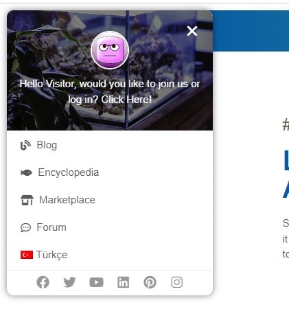 Ekran görüntüsü 2022-11-07 141404