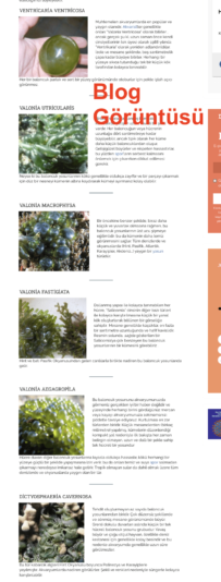 Ekran Resmi 2020-09-06 00.36.54