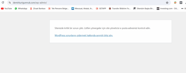 Ekran görüntüsü 2024-04-23 000356