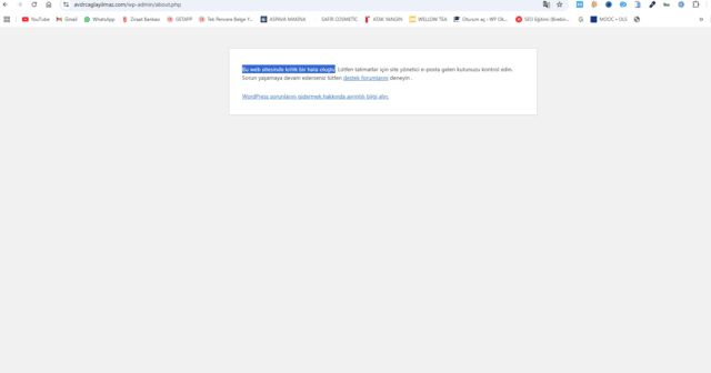 Ekran görüntüsü 2024-11-27 111509