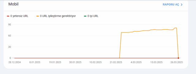 Ekran görüntüsü 2025-03-28 100738