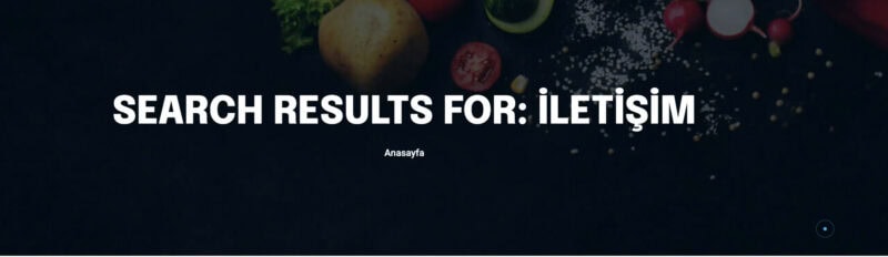 desktop-arama-motoru-sonucu-ingilizce