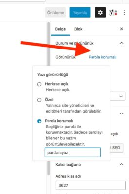 wordpress-parola-korumali-sayfa