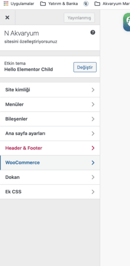 Ekran Resmi 2024-03-28 10.57.06