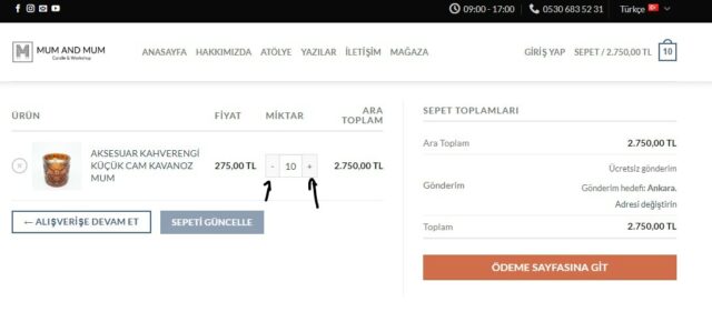 Ekran görüntüsü 2022-07-27 114329