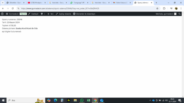 api bilgileri bulunamadı