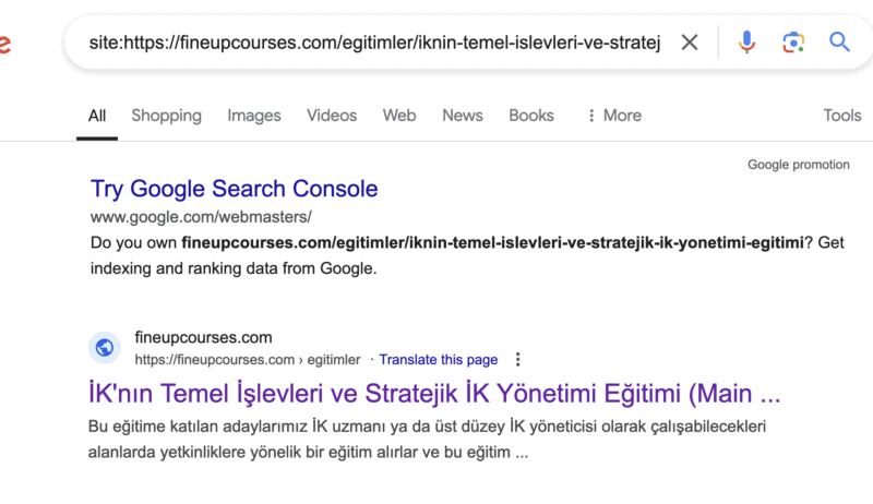 Ekran Resmi 2024-10-25 12.06.05